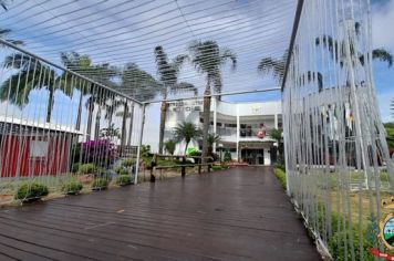 Foto - Montagem decoração natalina