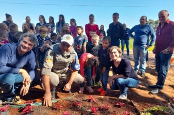 Foto - Implementado canteiro de paisagismo sustentável na Escola Estadual São Pio X