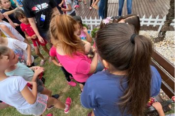 Foto - Casa do Coelho na Praça da Prefeitura recebe visitação de estudantes