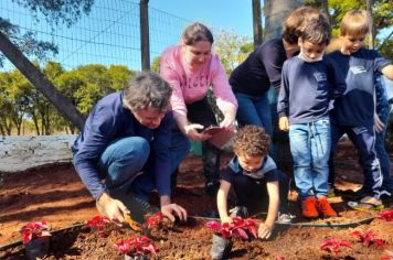 Foto - Implementado canteiro de paisagismo sustentável na Escola Estadual São Pio X