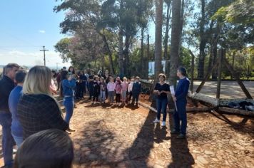 Foto - Implementado canteiro de paisagismo sustentável na Escola Estadual São Pio X