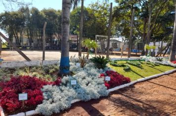 Foto - Dia de Campo marca encerramento de mais uma fase do projeto Flores para Todos