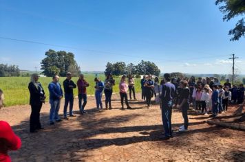 Foto - Implementado canteiro de paisagismo sustentável na Escola Estadual São Pio X