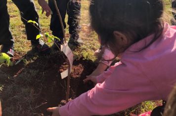 Foto - Na semana que passou a EMEI Bozano, realizou atividades diferenciadas com as turmas, alusivas à Semana Mundial do Brincar. 