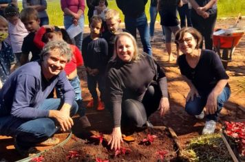Foto - Implementado canteiro de paisagismo sustentável na Escola Estadual São Pio X