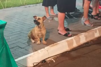 Foto - Papai Noel chegou e teve emoção em frente a prefeitura