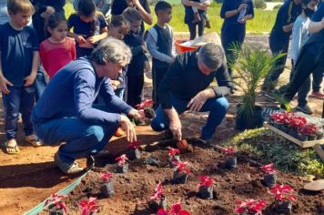 Foto - Implementado canteiro de paisagismo sustentável na Escola Estadual São Pio X