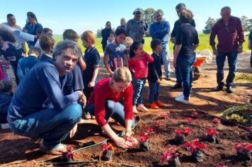 Foto - Implementado canteiro de paisagismo sustentável na Escola Estadual São Pio X