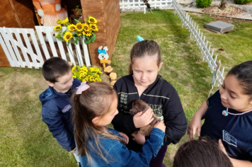 Foto - Casa do Coelho na Praça da Prefeitura recebe visitação de estudantes