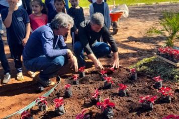 Foto - Implementado canteiro de paisagismo sustentável na Escola Estadual São Pio X