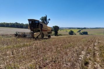 Emater e Conselho Municipal de Desenvolvimento Rural abrem inscrição para acesso a recursos do Programa Avançar 