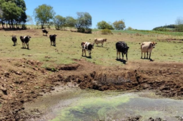 Programa avançar na agropecuária contempla Bozano com a abertura de açudes