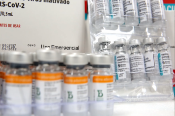 Portadores de doenças crônicas com mais de 18 anos serão vacinados segunda-feira, dia 31