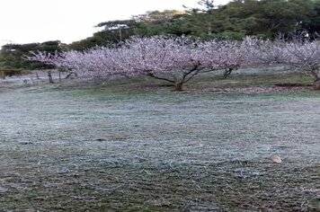 Sensação térmica foi de -2ºC hoje em Bozano