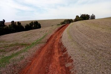 Coordenadoria de Agricultura orienta para cuidados na dessecação da lavoura