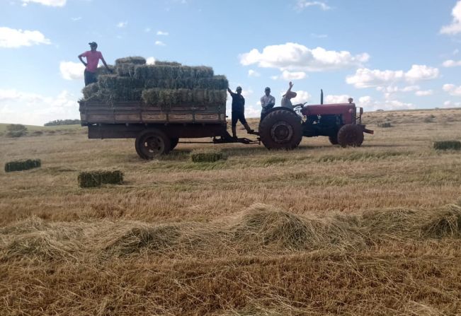 Coordenadoria de agricultura segue atendendo solicitação para corte e enfardamento de Feno