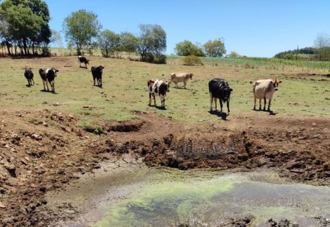 Aumenta número de pedidos para abertura de bebedouros no interior de Bozano