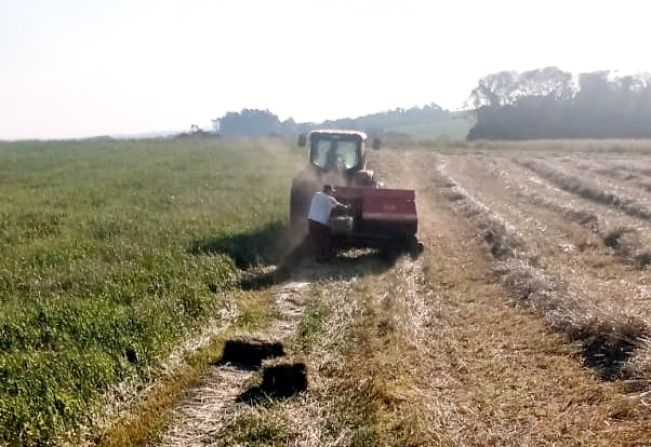 Patrulha agrícola está atuando no auxílio a produção de Fenno para alimentação do gado